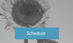 schedule-cta